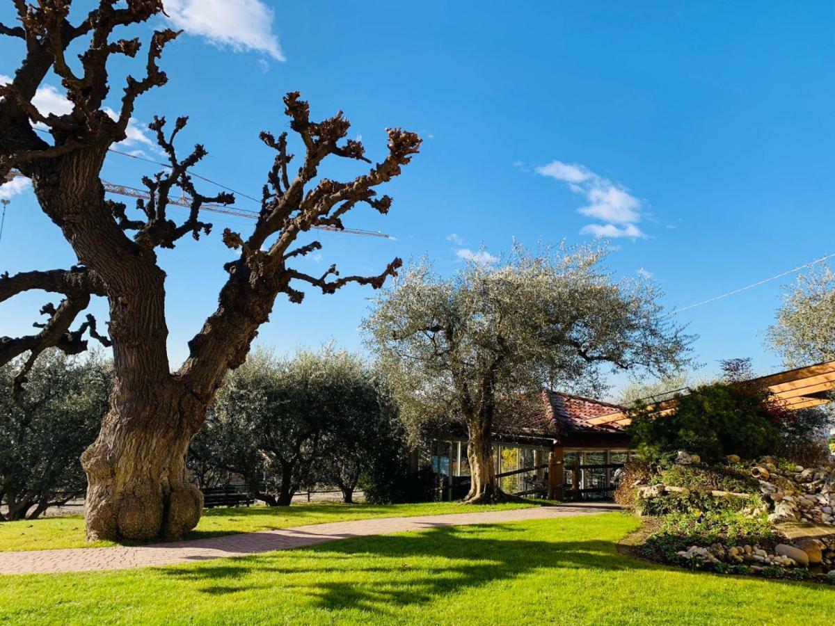 Agriturismo Le Tese ξενώνας Colà Εξωτερικό φωτογραφία