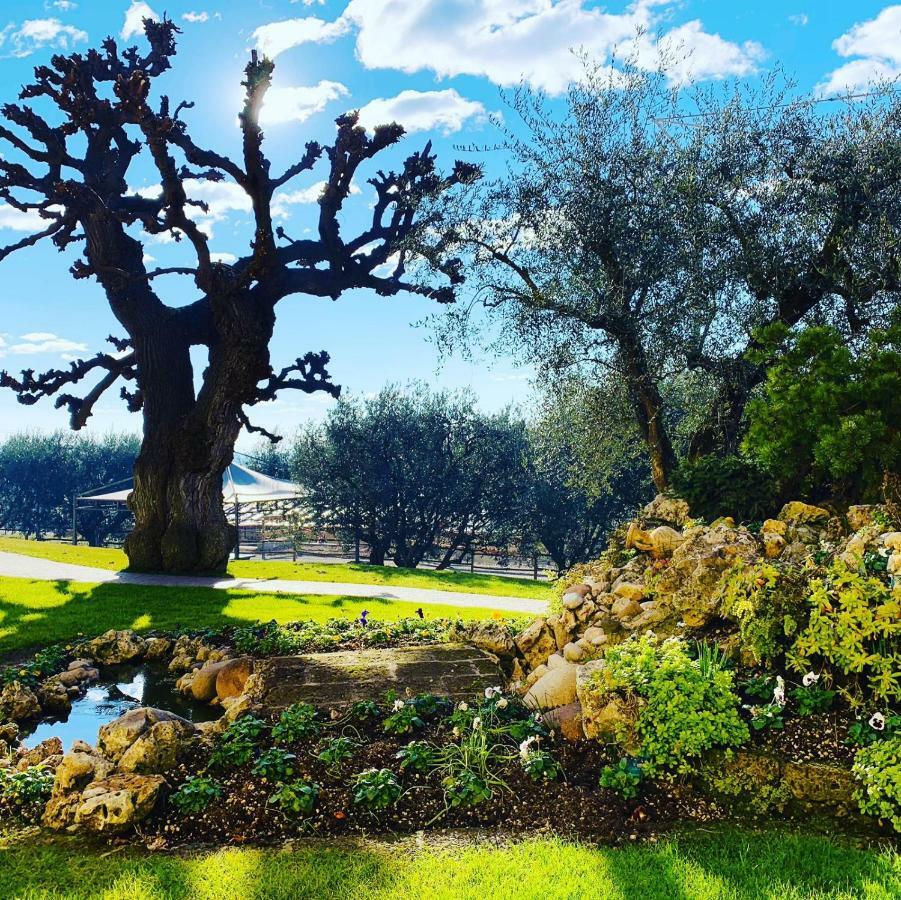 Agriturismo Le Tese Colà Εξωτερικό φωτογραφία